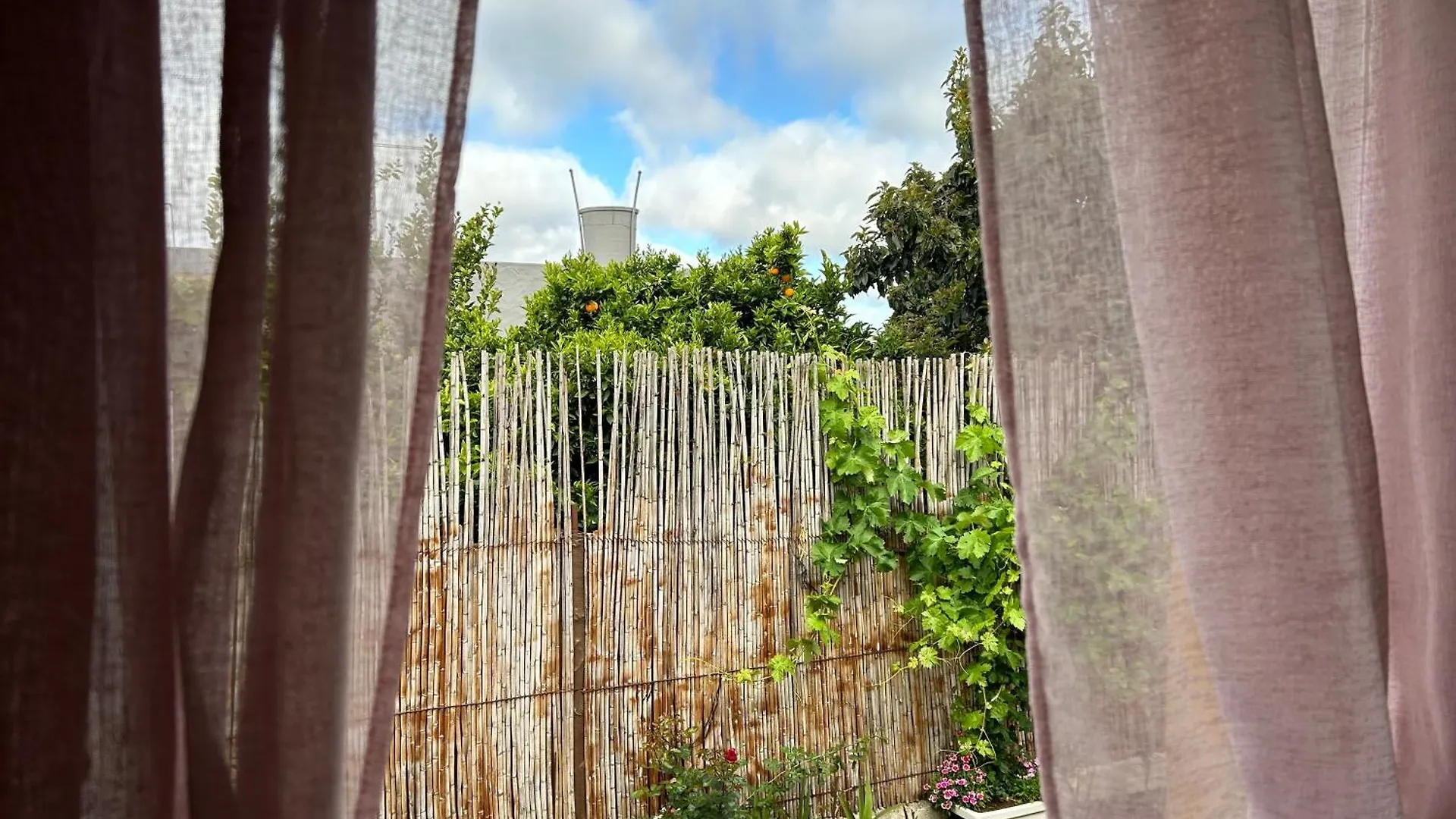 La Casa De Los Naranjos Vega de San Mateo