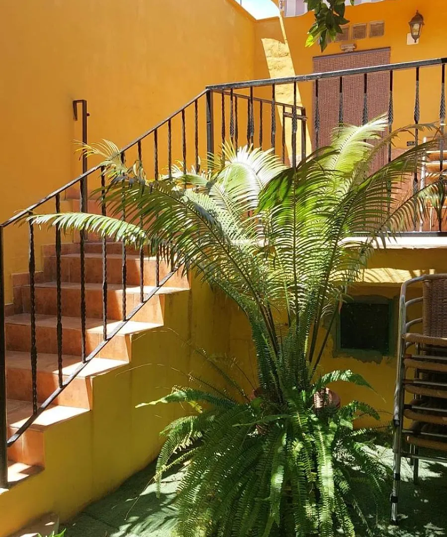 Holiday home La Casa De Los Naranjos Vega de San Mateo